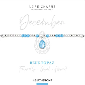 Life Charms December Birthstone Bracelet