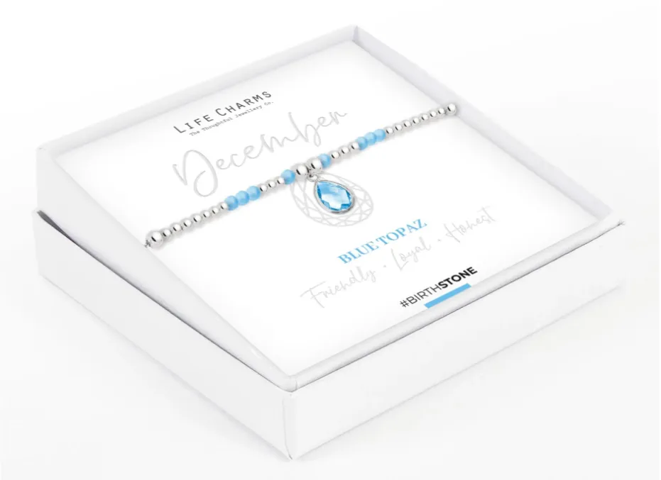 Life Charms December Birthstone Bracelet