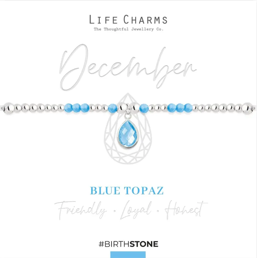 Life Charms December Birthstone Bracelet